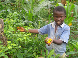 One of the children showing off some chillis from the HOTPEC farm